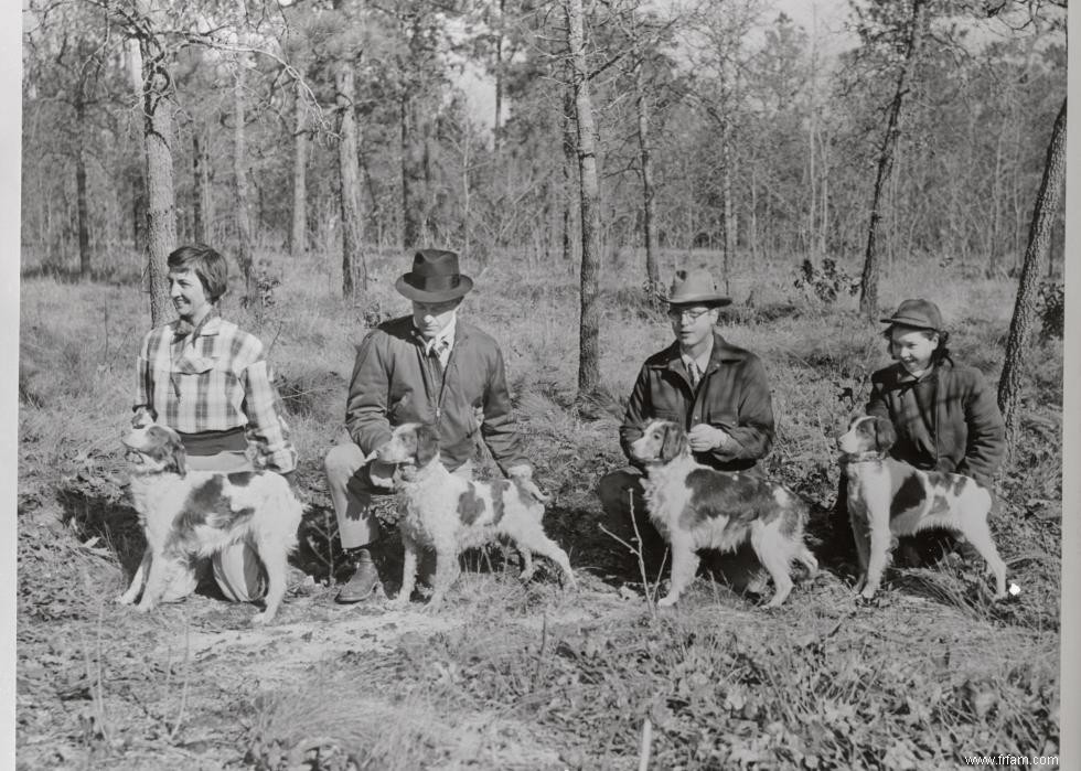 Photos vintage des races de chiens les plus populaires d Amérique 