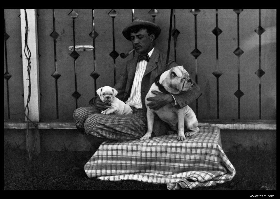 Photos vintage des races de chiens les plus populaires d Amérique 