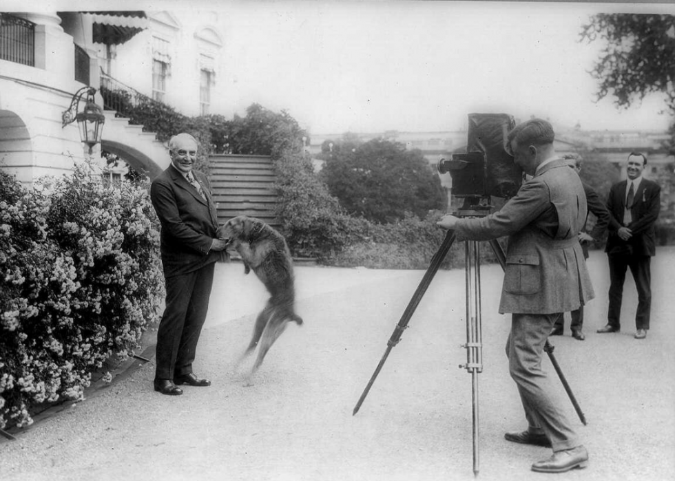 Une histoire d animaux de compagnie présidentiels 