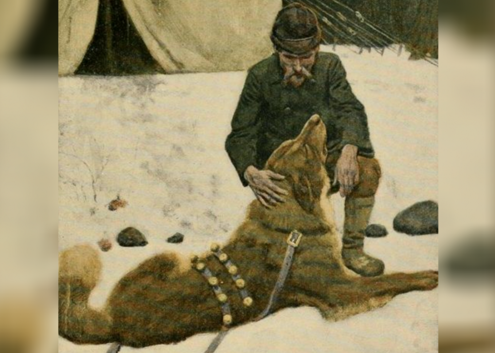 50 étapes majeures de l histoire des chiens 