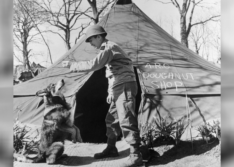 50 étapes majeures de l histoire des chiens 