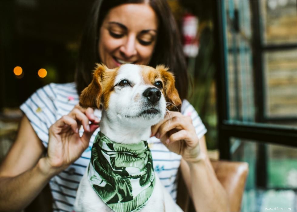 Comment les différentes générations traitent leurs animaux de compagnie 