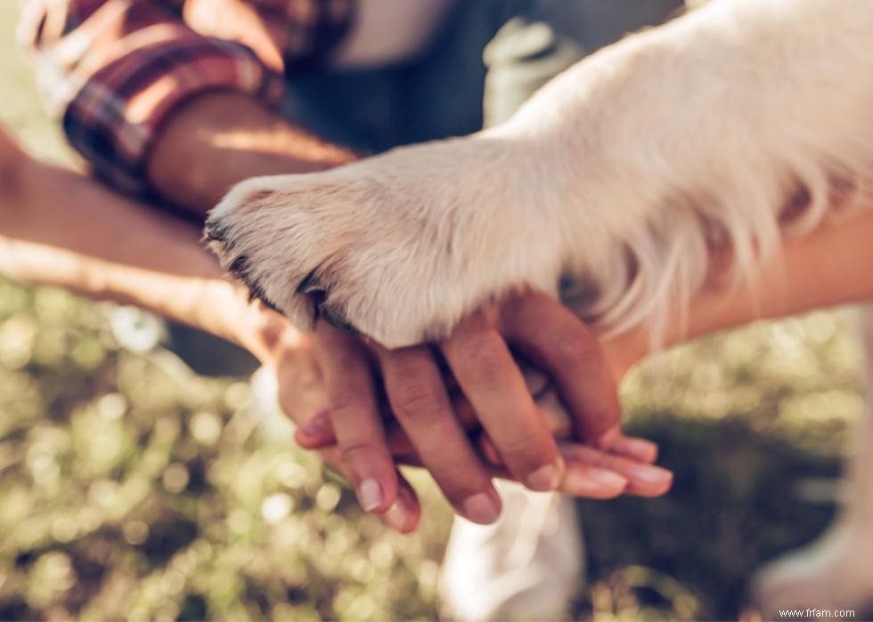 Comment les différentes générations traitent leurs animaux de compagnie 