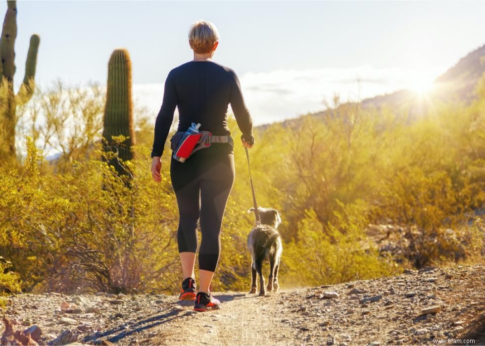 Combien coûte la vaccination de votre chien dans 25 villes 