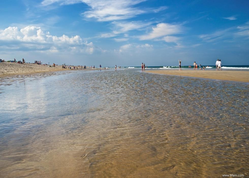 Qualité de l eau sur les plages américaines 