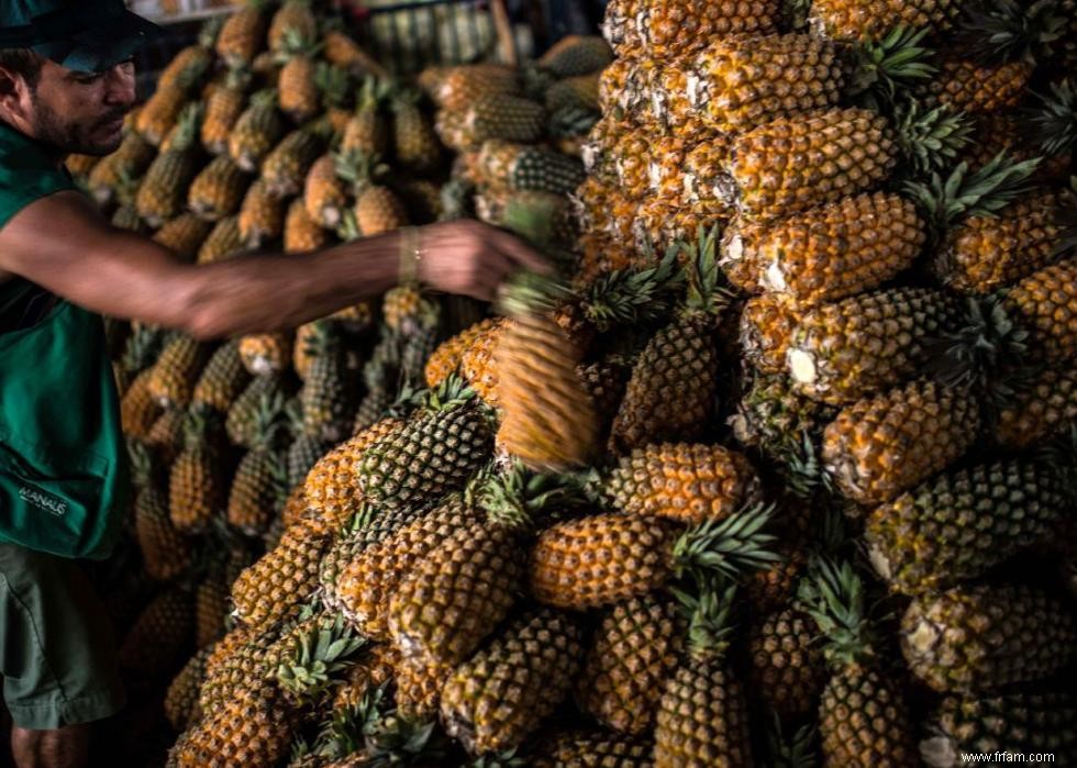 20 produits que vous ignorez peut-être proviennent de la forêt amazonienne 