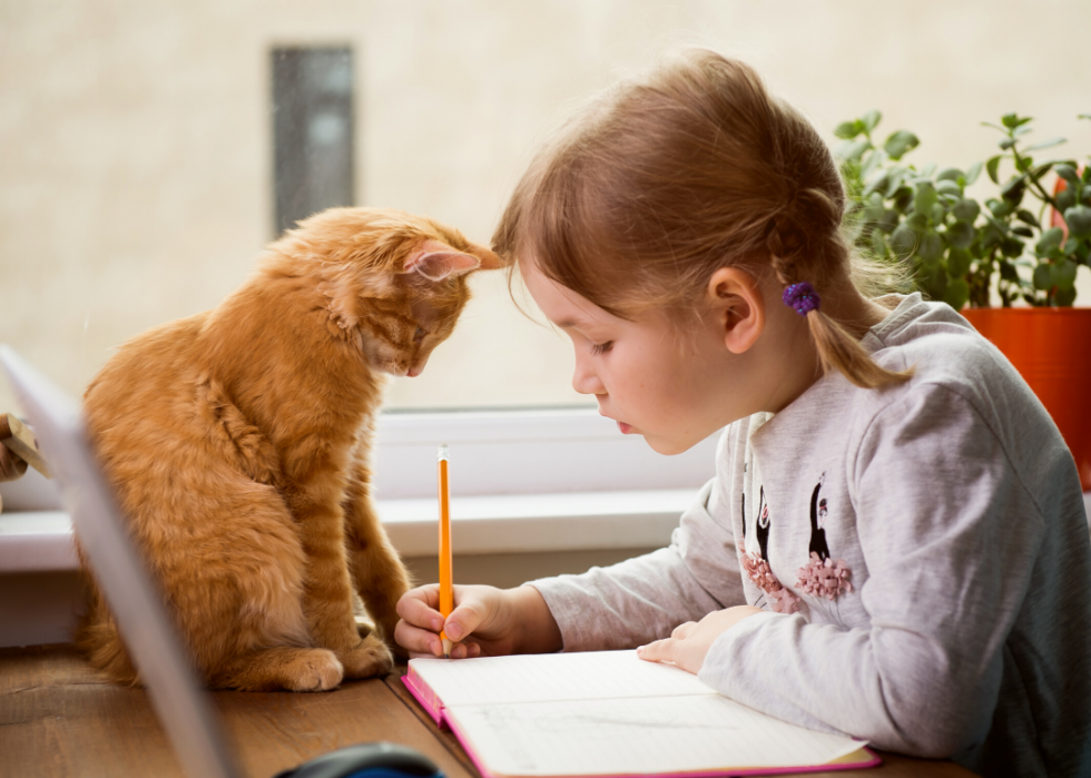 50 activités pour occuper les enfants cet été 