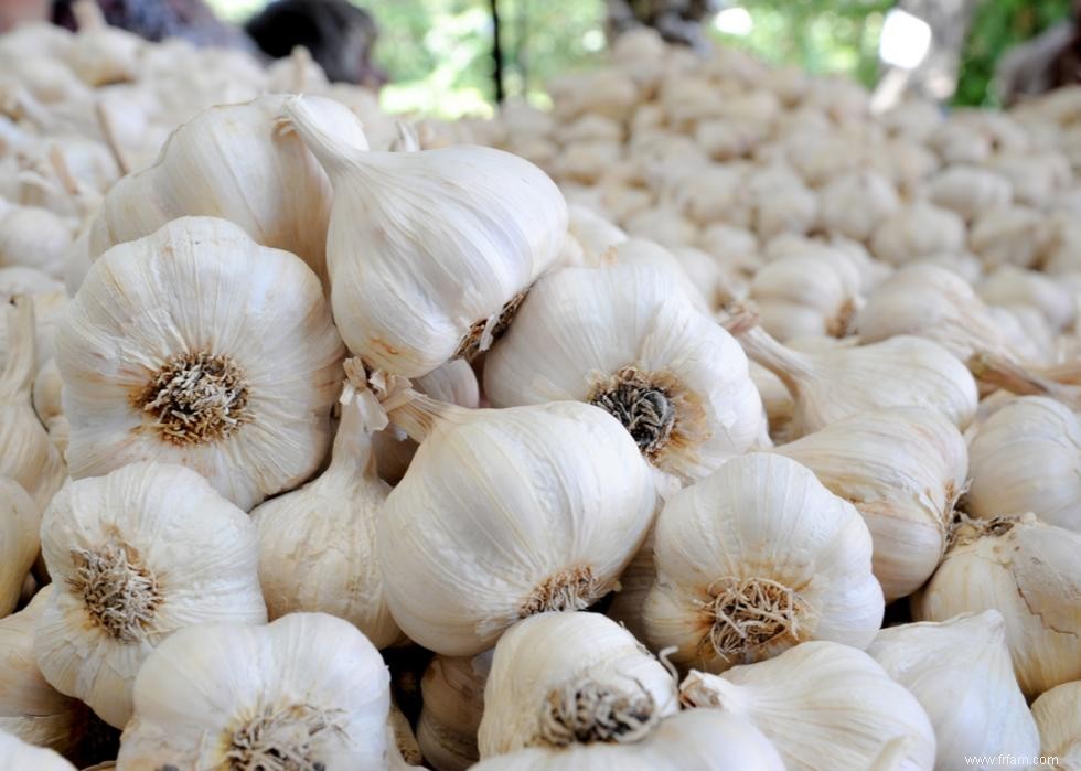 Avantages pour la santé de 20 légumes courants 