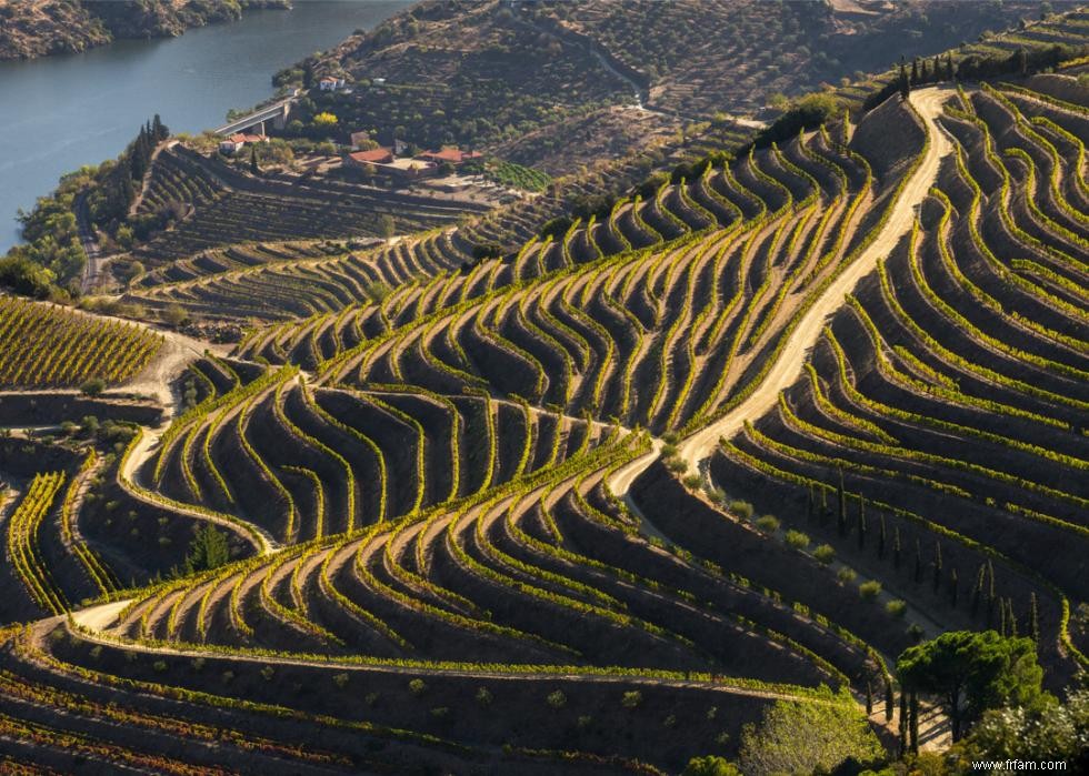 Caves et vignobles spectaculaires du monde entier 