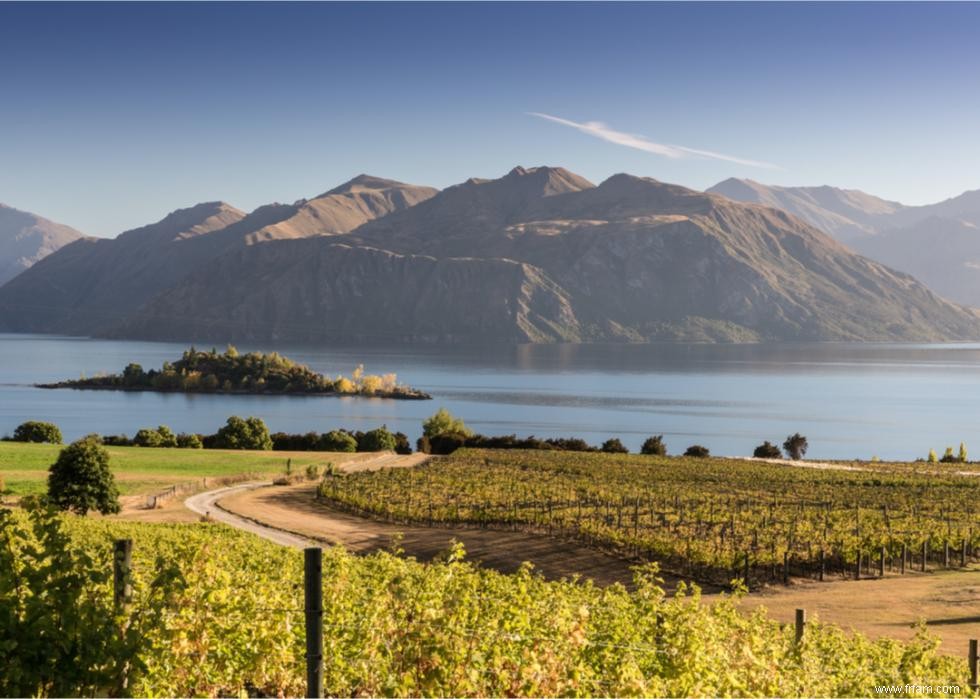 Caves et vignobles spectaculaires du monde entier 