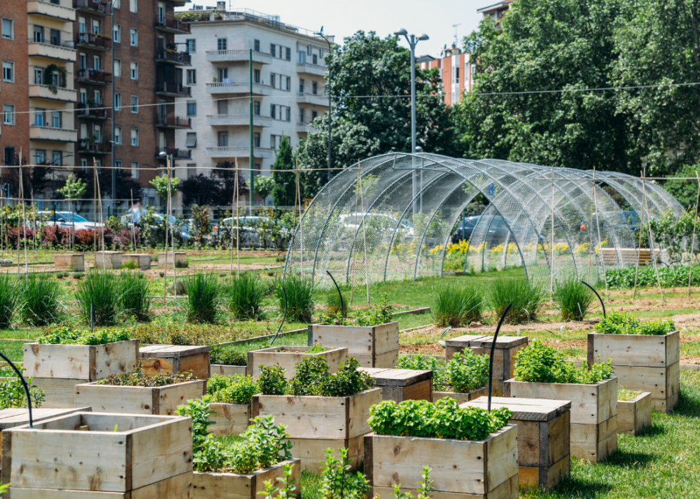 10 avantages d une alimentation à base de plantes 