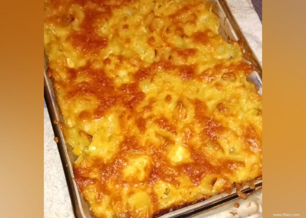 Recettes de macaroni au fromage pour tous les régimes et tous les goûts 