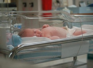 Coût pour s occuper d un enfant dans chaque état 