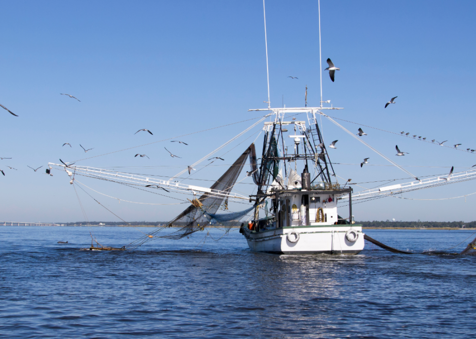 États comptant le plus de pêcheurs enregistrés 