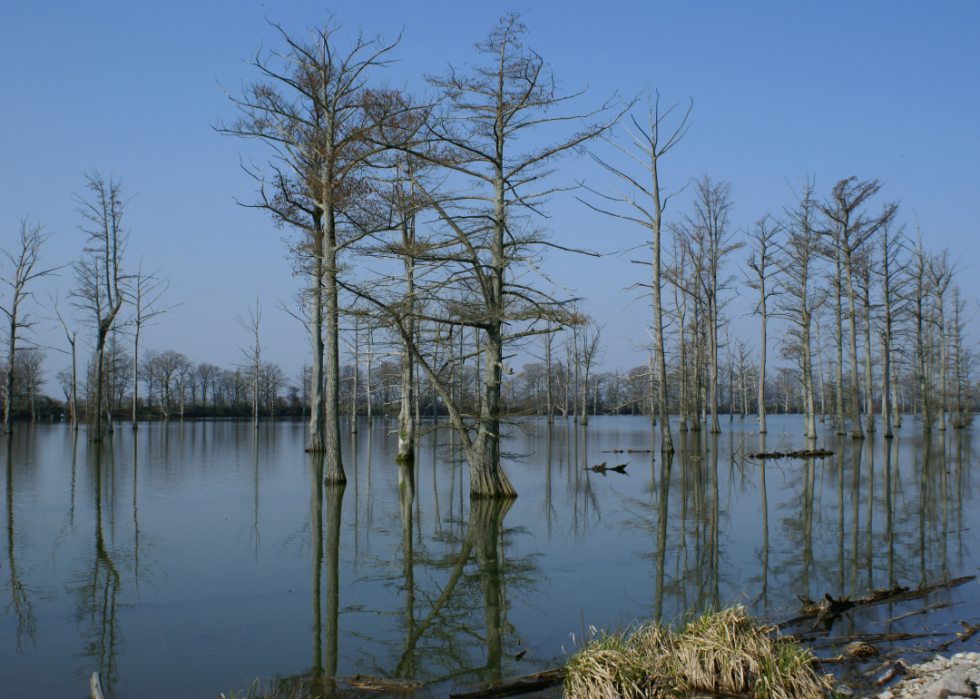 États comptant le plus de pêcheurs enregistrés 