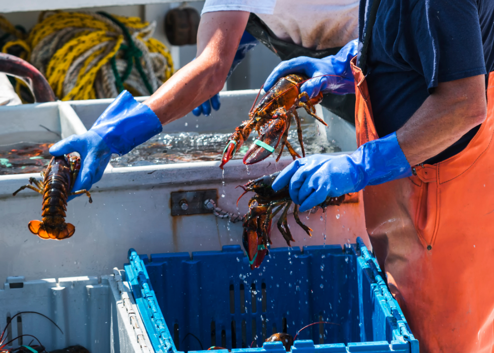 États comptant le plus de pêcheurs enregistrés 