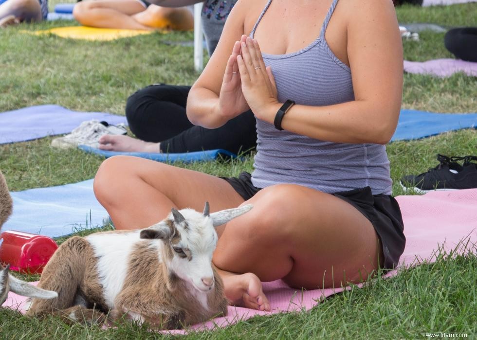 Expériences de yoga les mieux notées à travers le pays 