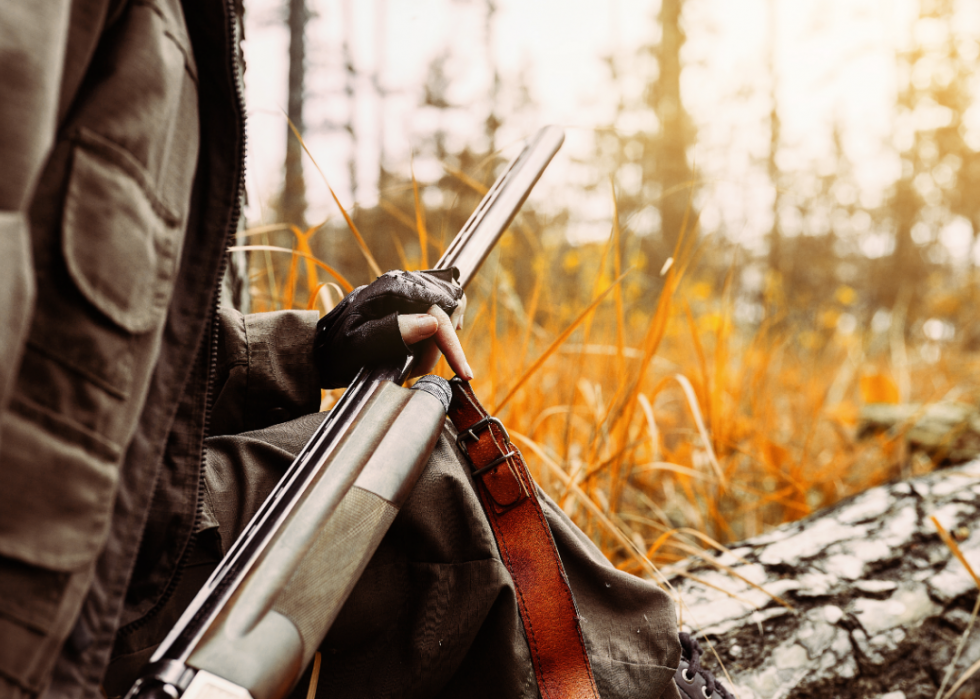 États avec le plus de chasseurs enregistrés 