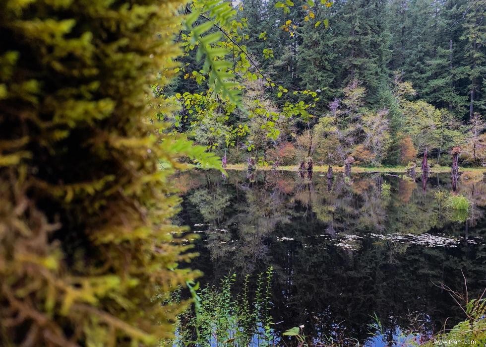 États avec le plus de chasseurs enregistrés 