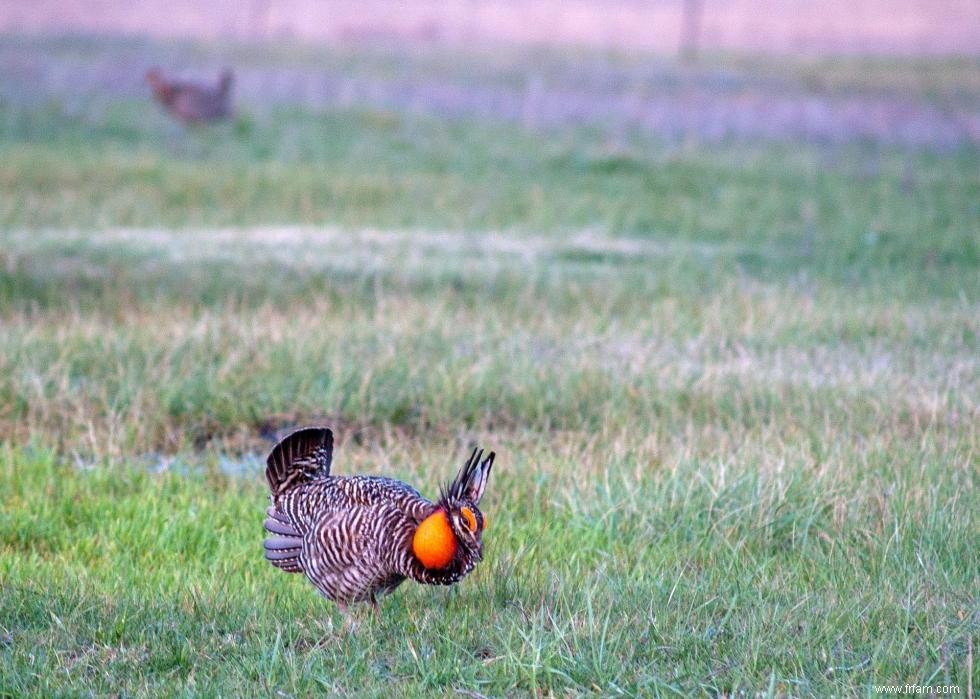 États avec le plus de chasseurs enregistrés 