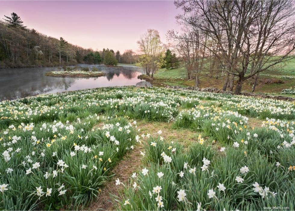 À quoi ressemble le printemps dans chaque état 