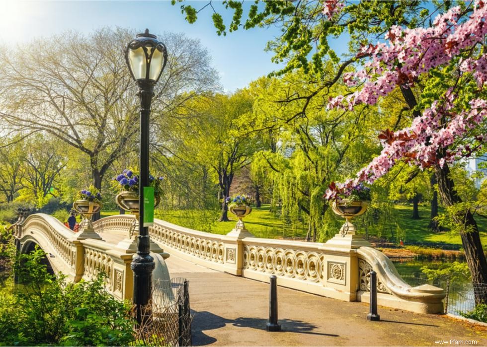 À quoi ressemble le printemps dans chaque état 