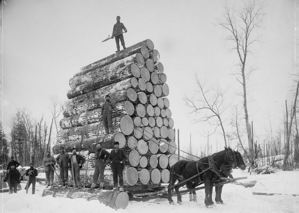 50 photos de la vie américaine au XIXe siècle 