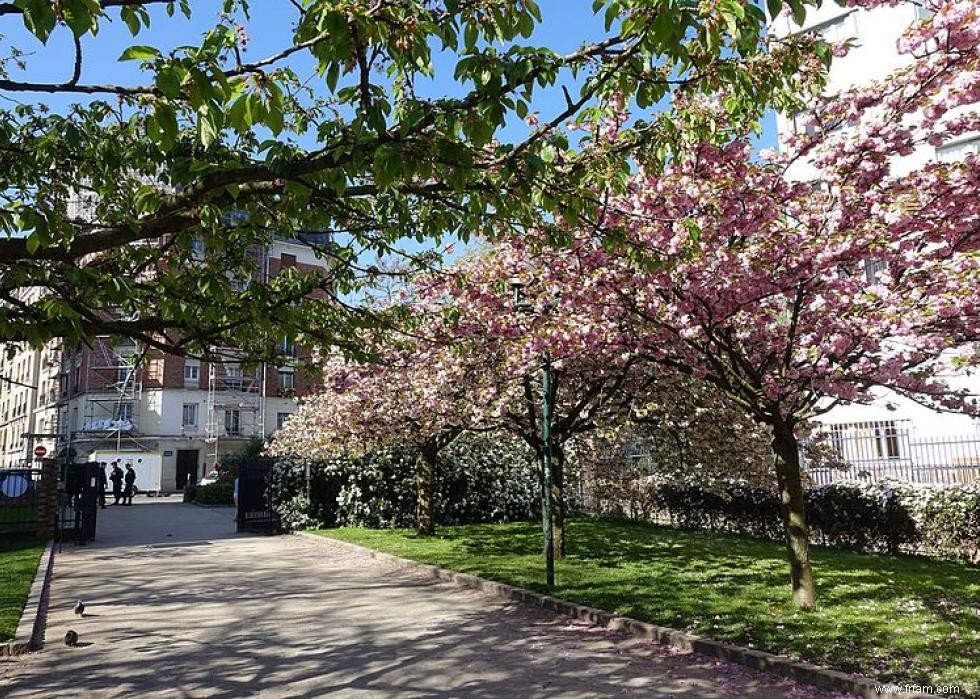 Les meilleurs endroits au monde pour voir les fleurs de cerisier 