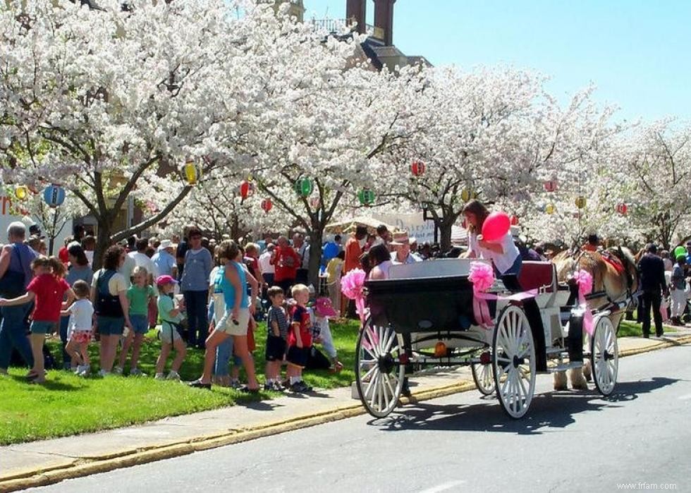 Les meilleurs endroits au monde pour voir les fleurs de cerisier 