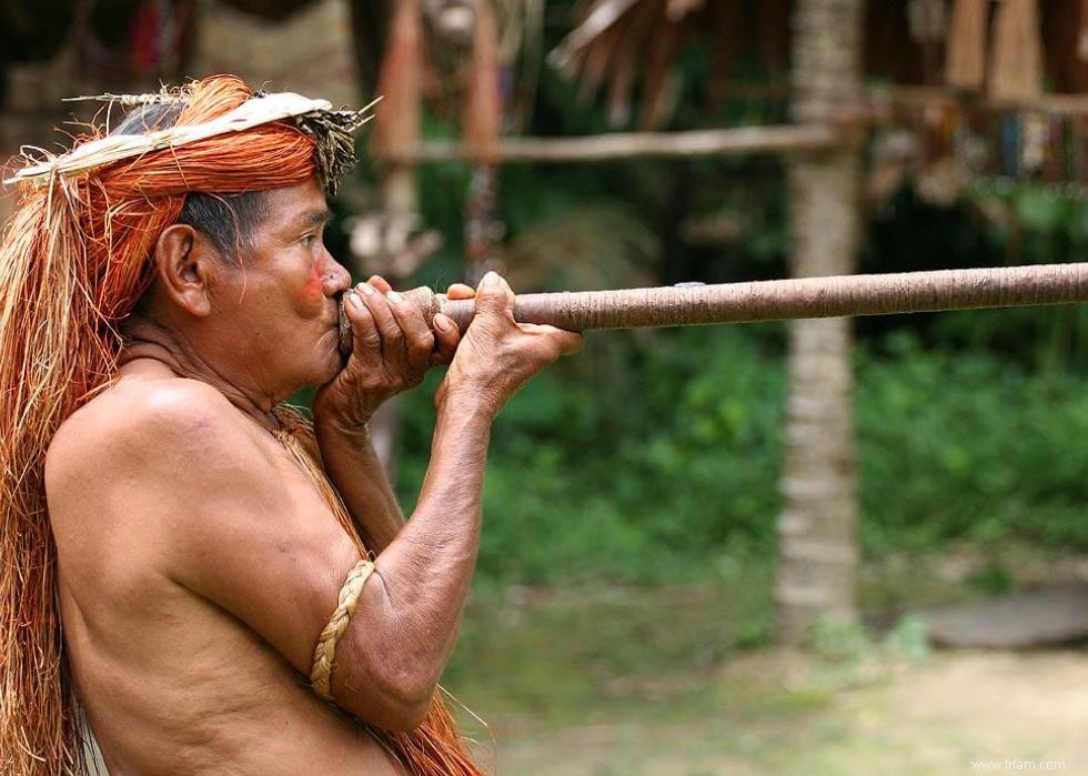 Peuples isolés et non contactés dans le monde 