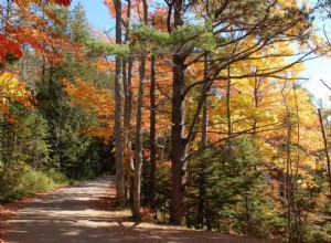 Les meilleures petites villes pour admirer le feuillage d automne 