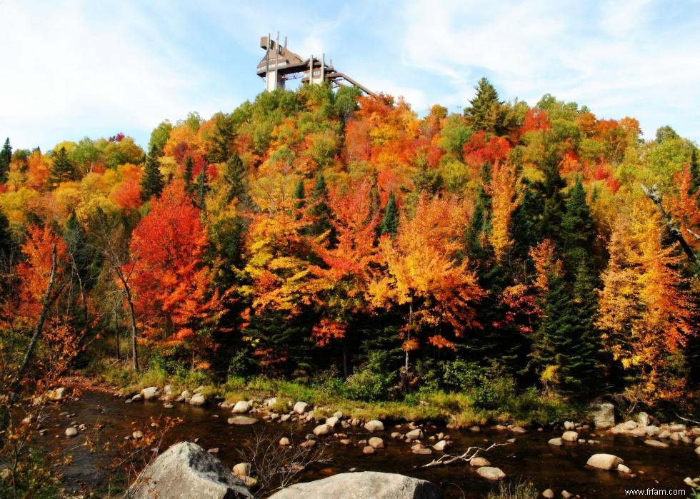 Les meilleures petites villes pour admirer le feuillage d automne 