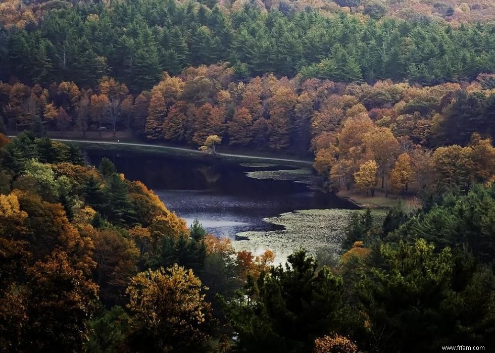 Les meilleures petites villes pour admirer le feuillage d automne 