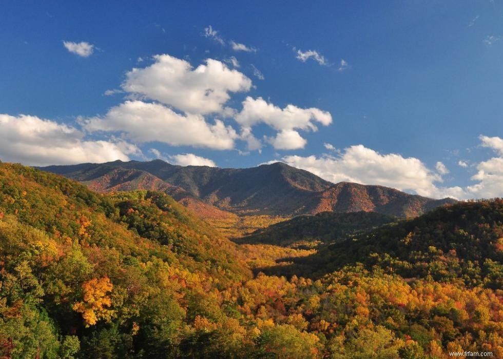 Les meilleures petites villes pour admirer le feuillage d automne 