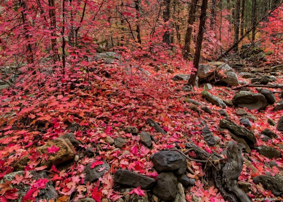 Les meilleures petites villes pour admirer le feuillage d automne 