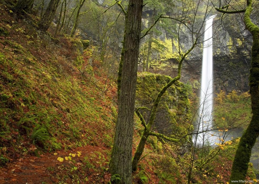 Les meilleures petites villes pour admirer le feuillage d automne 