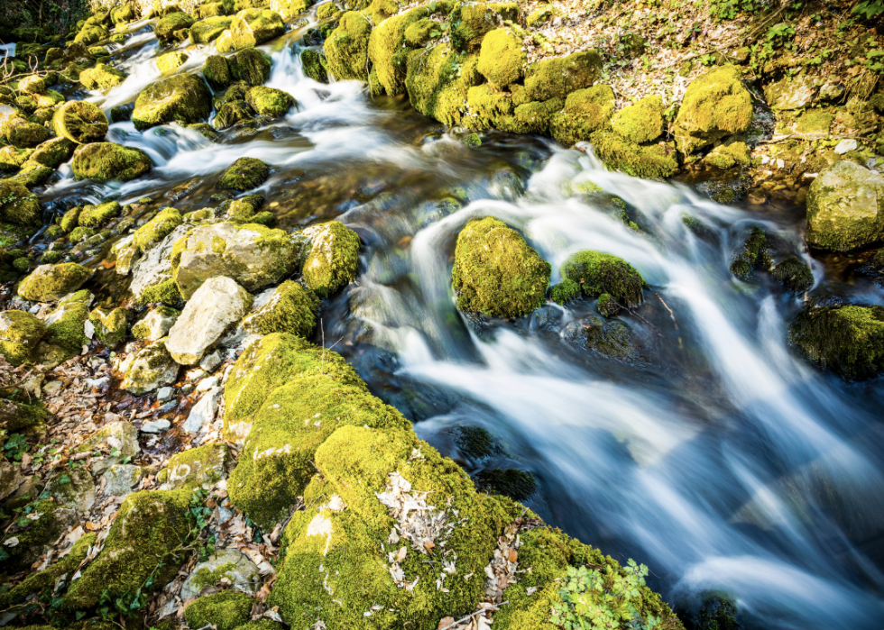 30 photos incroyables qui montrent le vrai pouvoir de la nature 