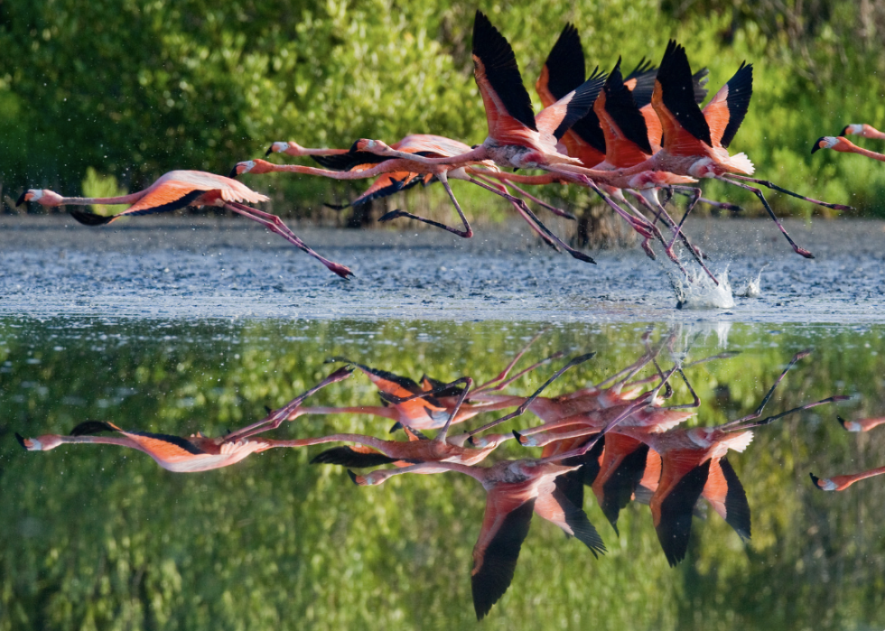 30 photos incroyables qui montrent le vrai pouvoir de la nature 