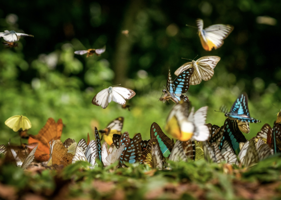 30 photos incroyables qui montrent le vrai pouvoir de la nature 