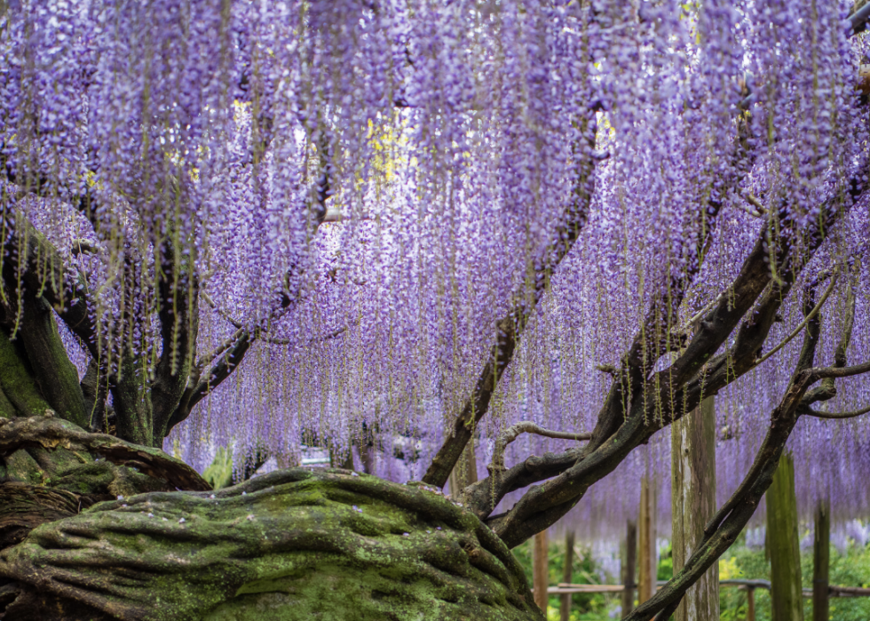 30 photos incroyables qui montrent le vrai pouvoir de la nature 