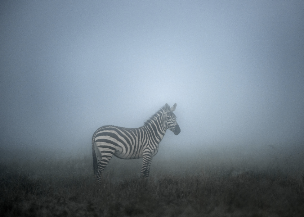 30 photos incroyables qui montrent le vrai pouvoir de la nature 