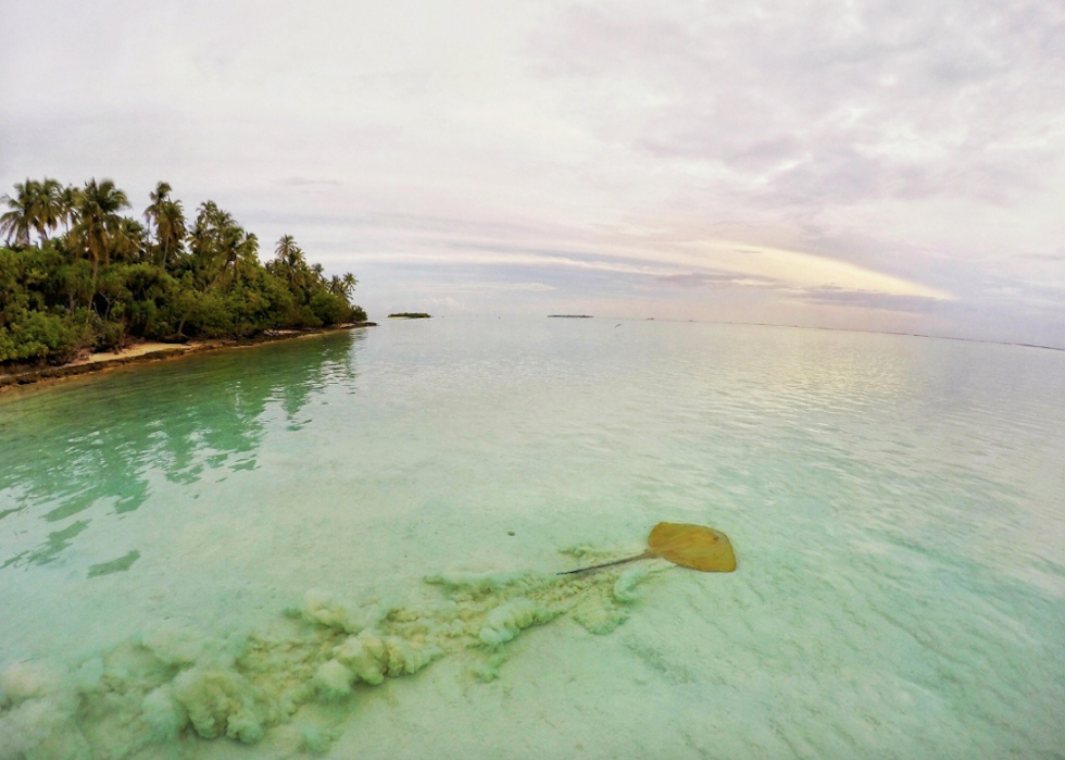 50 photos incroyables de nos océans 