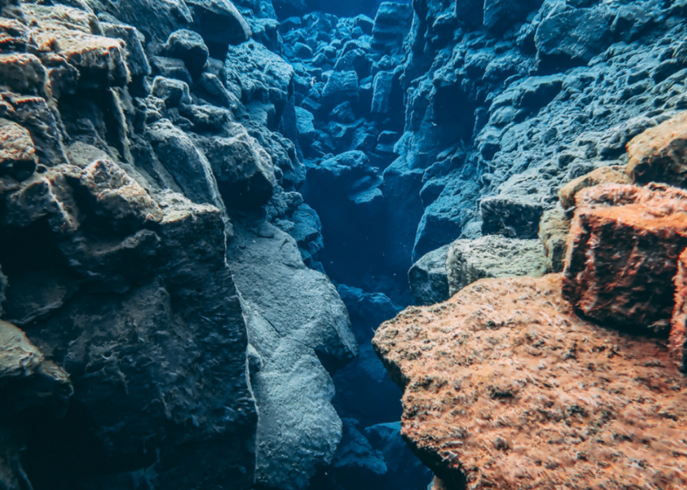 50 photos incroyables de nos océans 