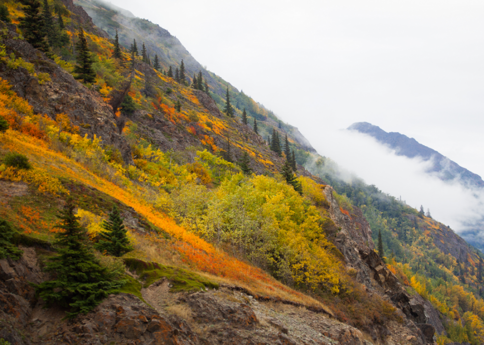 De superbes trajets d automne dans tous les états 