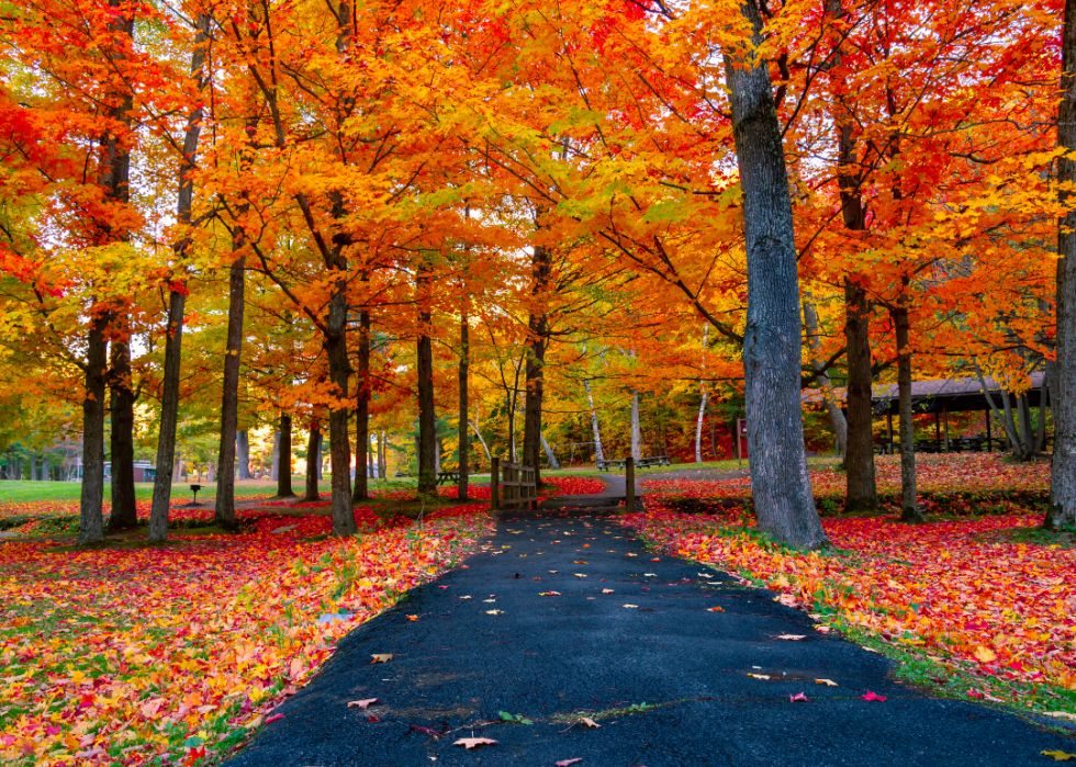 De superbes trajets d automne dans tous les états 