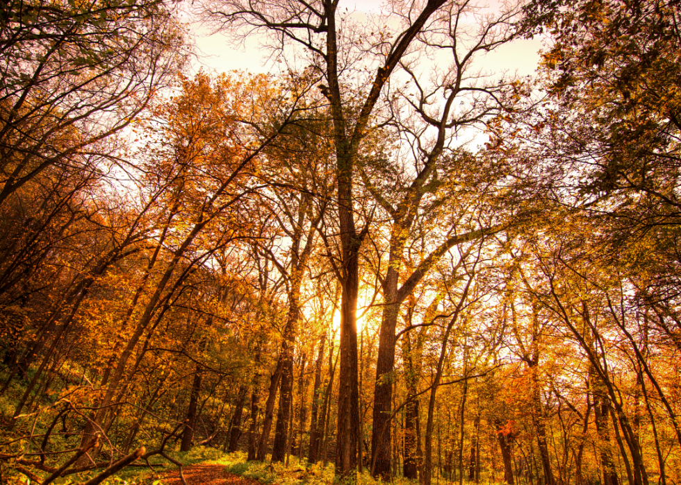 De superbes trajets d automne dans tous les états 