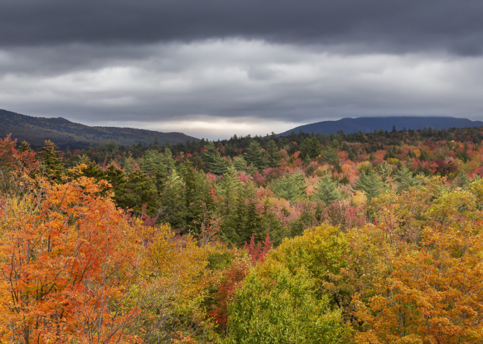 De superbes trajets d automne dans tous les états 