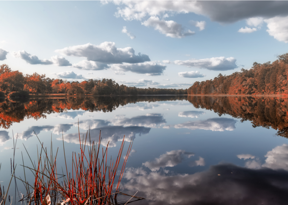 De superbes trajets d automne dans tous les états 