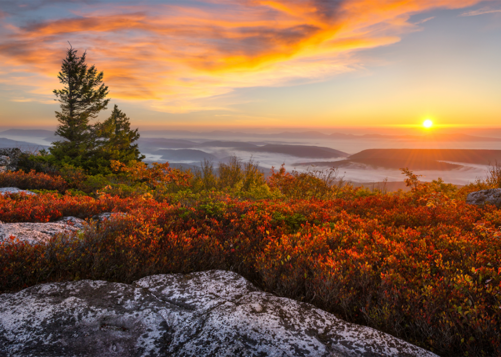 De superbes trajets d automne dans tous les états 