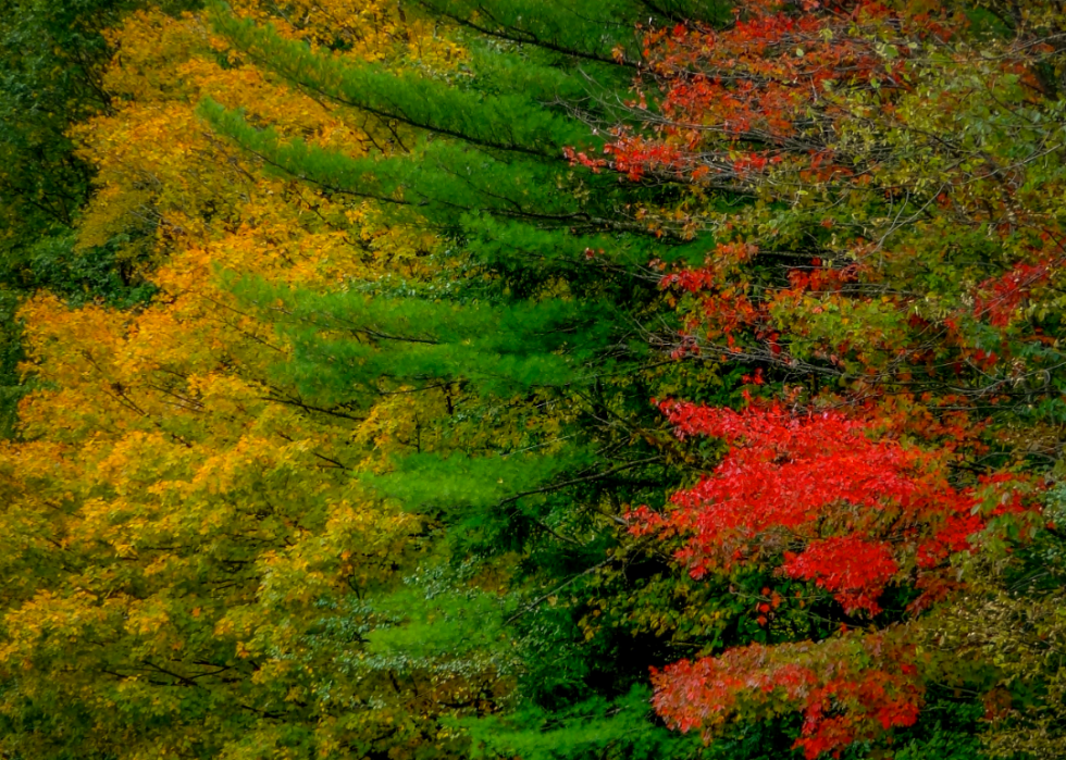 De superbes trajets d automne dans tous les états 